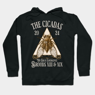 Cicadas 2024 - Brood XIX Brood XIII - Funny Cicada Lover Hoodie